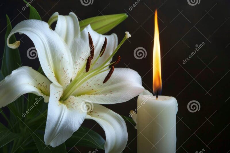 Jessica Peer, Cortlandville, N.Y Shocking Crash : Jessica Peer’s life cut tragically short in devastating accident—Family And Friends mourns deeply -Read the full story